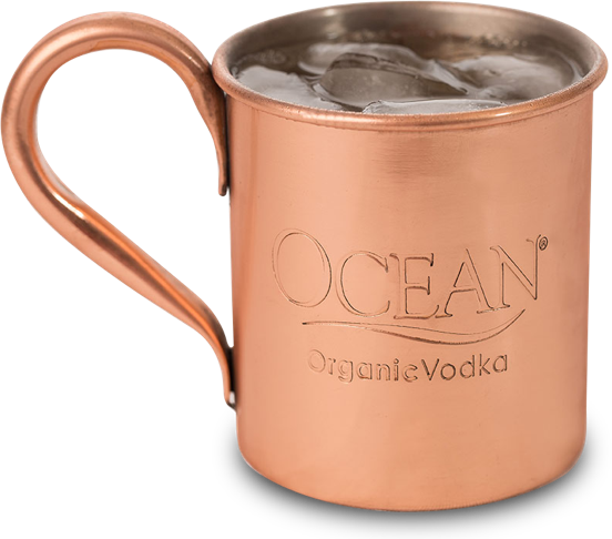 Copper Mule Mug